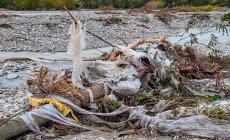 &laquo;Discarica a cielo aperto di San Michele Gatti, scopriremo gli autori&raquo;