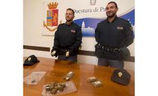 Controlli della polizia in stazione, all'ex scalo merci e nelle aree verdi. Al Parco Ducale il cane Barak trova 700 grammi di hashish 
