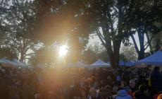 Il fascino del "pretone": grande successo di November Porc a Polesine