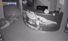 Ladri in un centro sportivo a Sala Baganza: ripresi dalle telecamere mentre rubano  - Video