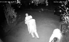 Deruba una signora ma intervengono due maestri di arti marziali - Video