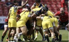 Johannesburg amara per le Zebre: i Lions si impongono per 61 a 19