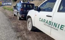 Carabinieri forestali a tutela della biodiversit&agrave; - Video