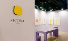 Artan (Shalsi) 2 Immanenza Impermanenza alla Galleria Niccoli - Video