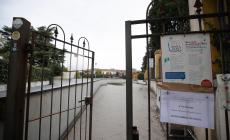 Allarme bocconi ma l'area cani resta aperta