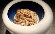 Pasta soffiata alla cannella in latte di cocco e mandorla
