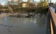 Enza, la piena attesa per le 11. Il sindaco Cesari: "Grazie alle casse piena ordinaria, ma i disagi restano"