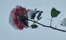 Il fascino della neve a Tarsogno