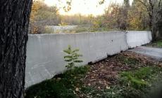 Rimossi i rifiuti abbandonati in strada Argini Enza a  Martorano