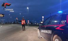 Fidenza, task force dei carabinieri sul territorio: droga "protagonista"