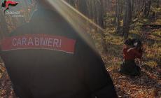 Cane si smarrisce nel bosco a Solignano: ritrovato grazie ai carabinieri forestali