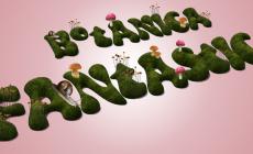 Botanica fantastica concorso per giovani illustratori: aperto il bando