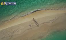 Viaggi natalizi: fra i parmigiani vincono l'Oriente e le grandi città - Video 