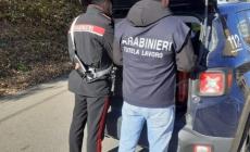 Carenze igienico-sanitarie in un pubblico esercizio a Langhirano: mille euro di multa