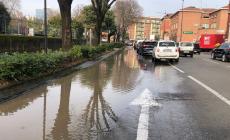 Piazzale Allende  e viale Tanara allagati: operai al lavoro, alcune strade sono rimaste senz'acqua per ore - Foto