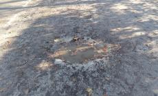 Parco Ducale, tante buche e scarsa manutenzione 