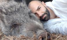 I giudici salvano Tina, il Tar dice 'no' all'abbattimento della maialina