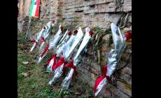 Rose rosse per ricordare l'80° anniversario dei sette fratelli Cervi