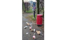 "Io e mia moglie abbiamo pulito, perché era impossibile guardare fuori dalla finestra e vedere questa scena": parco delle Magnolie, via Leporati, degrado senza fine