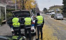 Cinture di sicurezza poco usate: giro di vite a Sorbolo Mezzani