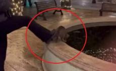 Ragazzina fa annegare un gatto, il video scatena l'indignazione sul web