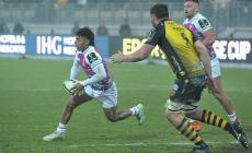 Le Zebre battono i Dragons e alimentano la propria corsa ai playoff di coppa