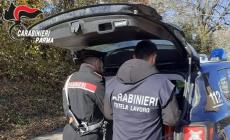 Nas e Ispettorato del lavoro nei bar nella zona di via Emilia Est: riscontrate violazioni, mille euro di multa al titolare di un locale 