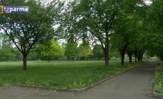Piano verde del Comune: affidata la manutenzione dei parchi pubblici più grandi