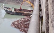 Gramignazzo, rimossi tronchi e detriti dalle pile del ponte 
