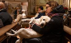 &laquo;Benvenuti animali&raquo;: nella chiesa di Sant'Antonio la tradizionale benedizione. Sui banchi cani, gatti e anche una tartaruga - Foto