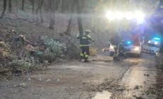 Forte vento a Salso: due alberi fanno paura. Chiusa via delle Rimembranze, arrivano i vigili del fuoco - Le foto