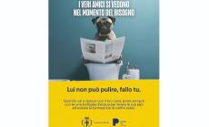 "Lui non può pulire fallo tu": la  campagna di sensibilizzazione verso i proprietari di cani