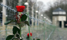 Sala Baganza ricorda il dramma della Shoah con due appuntamenti