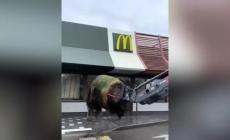 Gli agricoltori in Francia spargono fieno in un McDonald's - Video 