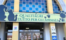 Un Anno di Successi: Grazie a Tutti Voi, Clienti Fedeli di Qualit&agrave;gri!