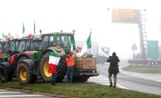 In A1 la protesta dei trattori: presidio fisso degli agricoltori all'imbocco dell'Autosole a Melegnano - Foto 