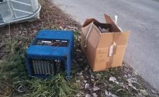 Le foto di una lettrice "Sorpresa del mattino a Corcagnano" - Foto 