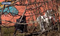 Cadavere ritrovato in via Sidoli, i rilievi sono ancora in corso. Si indaga sulle persone scomparse 