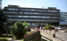 Dimesso dall'ospedale Maggiore il giovane rugbista di Bologna che aveva sbattuto la testa durante la partita