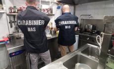 "Potenziale pericolo per la salute dei clienti", chiuso e multato un ristorante etnico