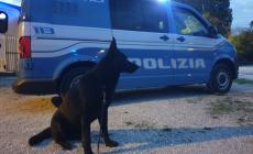 San Leonardo, il poliziotto a quattro zampe Nagout "sceglie" l'auto giusta, dentro c'erano hashish e marjuana: arrestato un 21enne