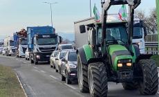 Protesta degli agricoltori: cento trattori in marcia a Parma - Foto