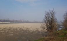 Dopo pochi giorni, il Po è tornato in magra