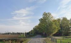 Modifiche alla viabilità in strada Farnese dal 21 febbraio al 30 aprile 2024 - La mappa