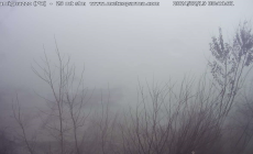 Bassa, il ritorno alla grande della nebbia- Foto