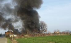 Salsomaggiore, incendio in un maneggio di Scipione. Cavalli tratti in salvo
