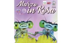 Marzo in rosa 2024,  un mese e mezzo di eventi a Torrile dedicati al mondo femminile