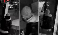 Preso il ladro seriale dei distributori automatici  delle lavanderie in citt&agrave;: denunciato dai carabinieri 