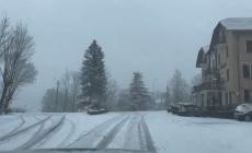 Nevicata a Tarsogno, strada Passo Cento Croci e Tornolo: la montagna imbiancata - Video