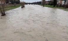 La Parma vista dal ponte di Mezzo: &egrave; quasi voladora - Video